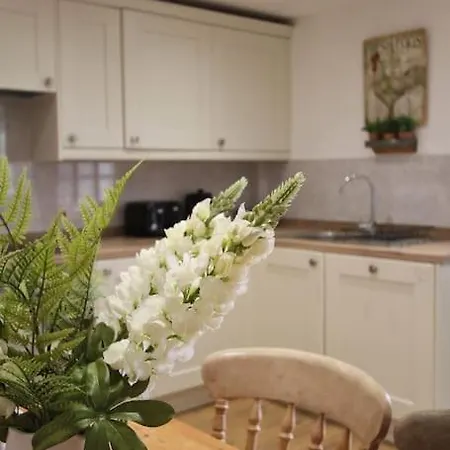 Owl Cottage - Cosy Cotswolds Stone Escape, Dog Friendly Wyck Rissington Exterior photo